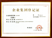企業(yè)集團(tuán)登記證1